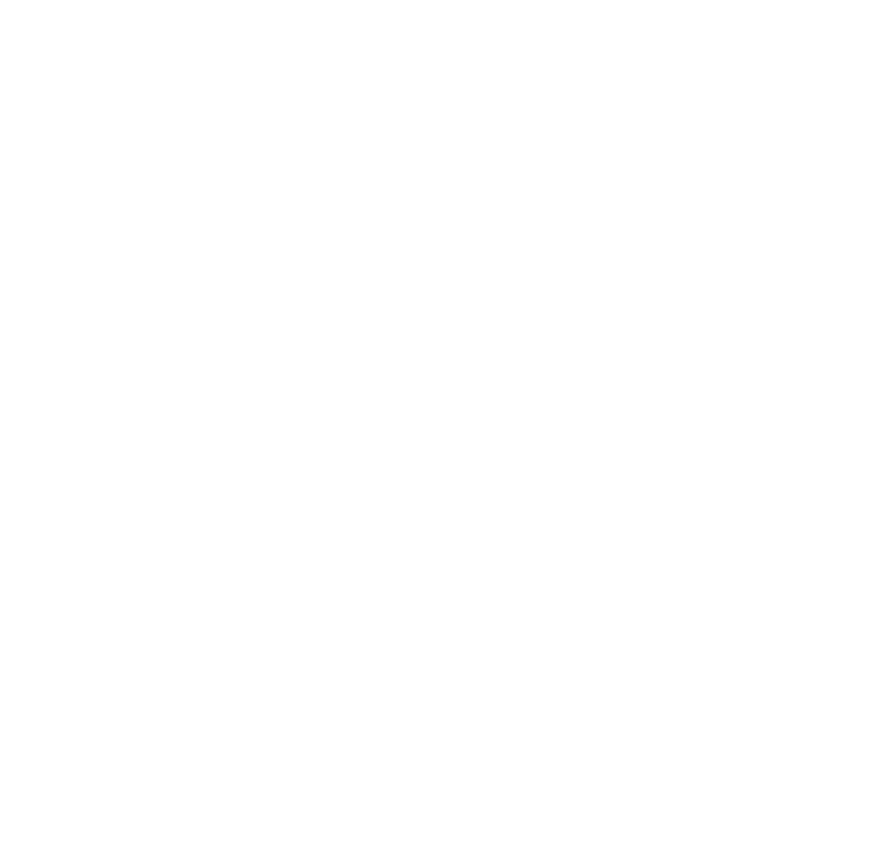 Permanent Beauty by Zara